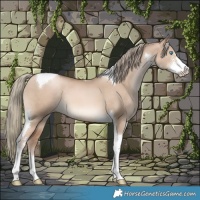Horse Color:Liver Red Dun Pearl Mushroom Sabino Tobiano 