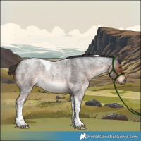 Horse Color:Liver Red Roan Tobiano 