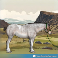 Horse Color:Liver Red Roan Tobiano