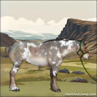 Horse Color:White Spotted Liver Red Roan 