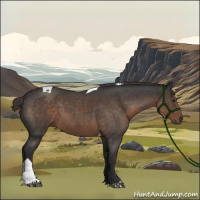 Horse Color:Liver Red Roan Tobiano