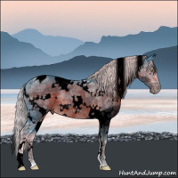 Horse Color:Void Watercolor White Spotted Chocolate Palomino Ice Roan