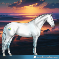Horse Color:Gray Watercolor Black 