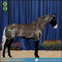 Horse Color:Silver Black Ice Sabino Splash 