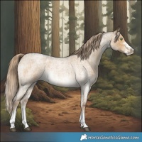 Horse Color:Chocolate Palomino Roan Dun Sabino 