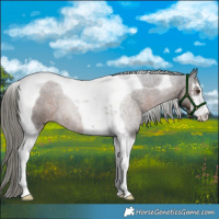 Horse Color:White Spotted Liver Chestnut Mushroom Tobiano 