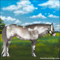 Horse Color:Platinum White Spotted Liver Red Onyx 