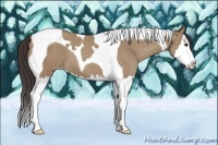 Horse Color:Classic Champagne Splash Tobiano 
