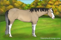 Horse Color:Bay Roan Dun Splash
