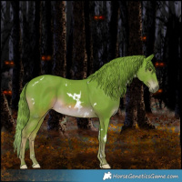 Horse Color:Watercolor White Spotted Liver Chestnut 