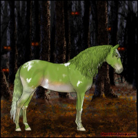 Horse Color:Watercolor White Spotted Liver Chestnut 