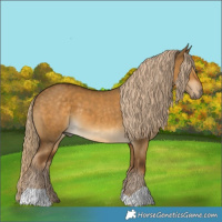 Horse Color:Chocolate Palomino Dun