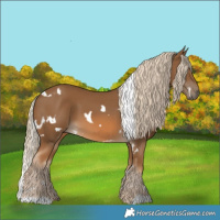 Horse Color:White Spotted Chocolate Palomino 