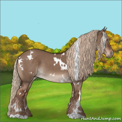 Horse Color:White Spotted Liver Red Dun 