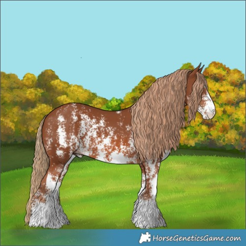 Horse Color:Chestnut Sabino