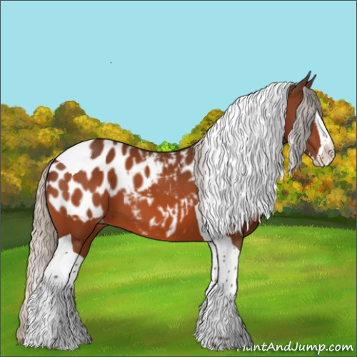 Horse Color:Silver Bay Splash Tobiano Appaloosa 