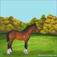 Horse Color:Bay Tobiano 