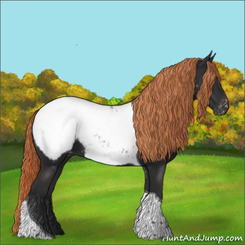 Horse Color:Liver Chestnut Tobiano Appaloosa