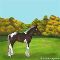 Horse Color:Gray Silver Brown Tobiano 