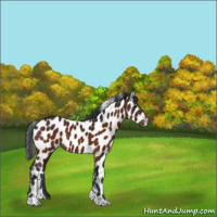 Horse Color:Brown Tobiano Leopard 