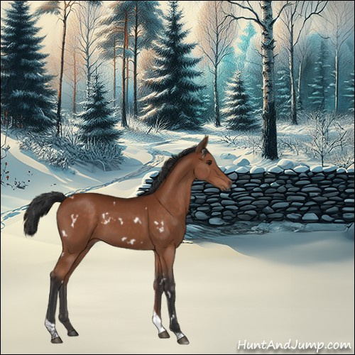 Horse Color:White Spotted Brown Tobiano 