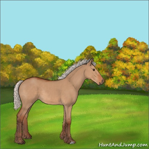 Horse Color:Silver Bay Dun Rabicano 