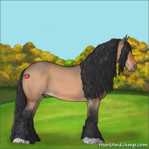 Horse Color:Bay Roan Dun 