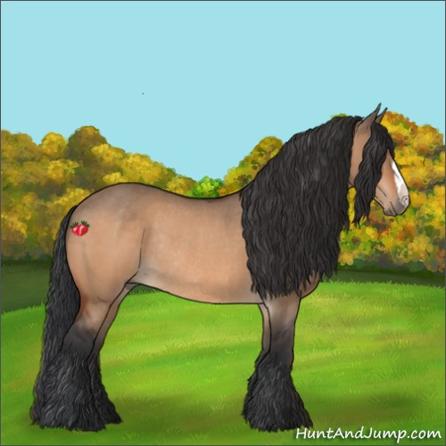Horse Color:Bay Dun Rabicano 