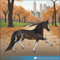 Horse Color:White Spotted Brown Mushroom Sabino