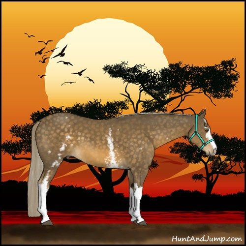 Horse Color:White Spotted Chocolate Palomino Mushroom 