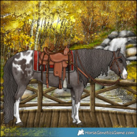 Horse Color:White Spotted Liver Chestnut Varnish 