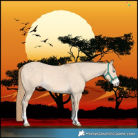 Horse Color:Perlino Dun Sabino Rabicano 