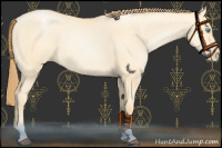 Horse Color:Buckskin Pearl Dun 