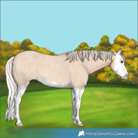 Horse Color:Silver Bay Roan Dun Splash 