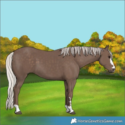 Horse Color:Silver Black 