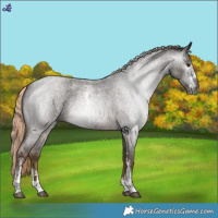 Horse Color:Gray Chocolate Palomino Roan Sabino 