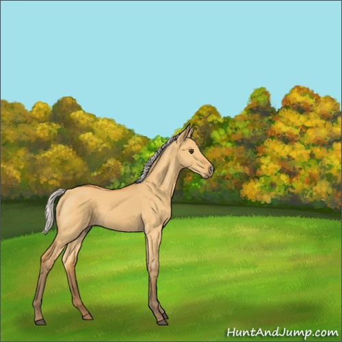 Horse Color:Silver Buckskin Dun 