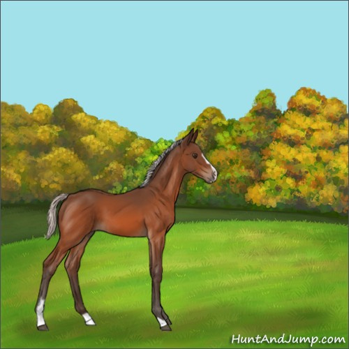 Horse Color:Silver Brown Sabino 
