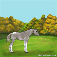Horse Color:Silver Black Ice Tobiano 