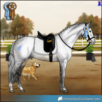 Horse Color:Gray Buckskin Sabino Rabicano 