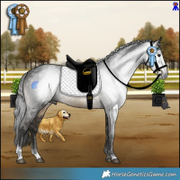 Horse Color:Gray Buckskin Sabino Rabicano 