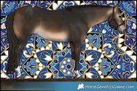 Horse Color:Gray Buckskin Tobiano