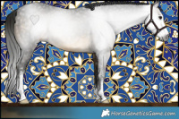 Horse Color:Gray Buckskin Sabino