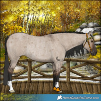 Horse Color:Liver Red Dun Roan Rabicano