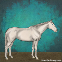 Horse Color:Smoky Creme 