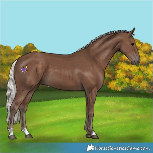 Horse Color:Silver Black 