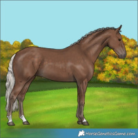 Horse Color:Silver Black 