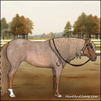 Horse Color:Red Roan 