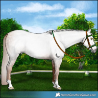 Horse Color:Gray Gold Champagne 