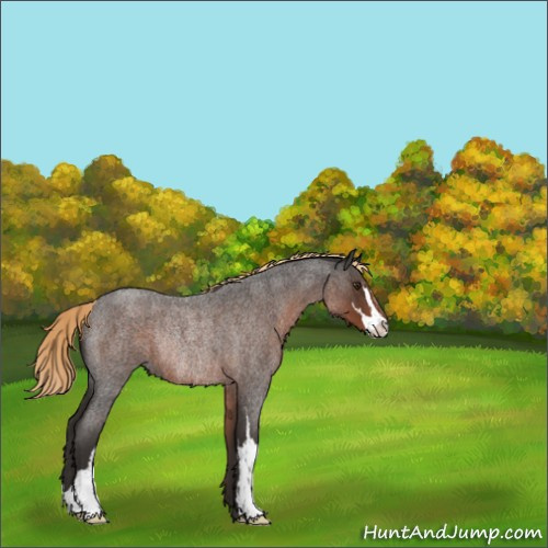 Horse Color:Liver Red Roan Sabino Rabicano 